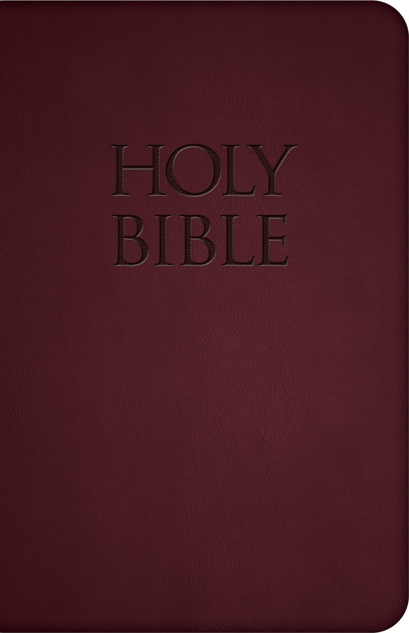 Bible: Holy Bible